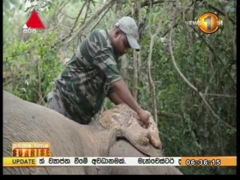 Sirasa TV 6 30AM