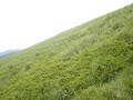 Panorama z Po?oniny Cary?skiej
