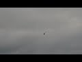 T-Rex 700 E Maidenflight