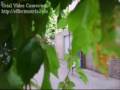 videos de La Foule