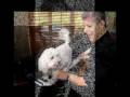 Chopin For Dogs Felix Pando ITUNES.COM