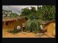Doc - Tribe: The Babongo (2005)
