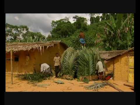 Babongo Tribe