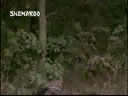 videos de LEHRA KE DAGAR.avi