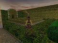 Well then, here is something you all can try for yourselves! Download both the demos of Tomb Raider III and Tomb Raider: The Lost Artifact. After installation, go to the Data folders of both games. Now swap their MAIN.SFX (Don't forget to back up!) files with each other, and you're good to go! Edit: thecentaur from Tomb Raider Forums notified me, that the TR2 Gold demo also uses a MAIN.SFX file, and SFX files can be swapped between TR2 and TR3 as well! If you have the PC version, you can ...