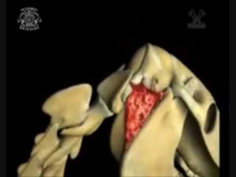 Image de prévisualisation YouTube