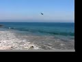 Trains To Brazil - Guillemots