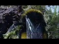 Clever queen bumble bees - Sir David Attenborough's Life in the Undergrowth - BBC wildlife