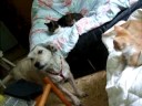 Tommie en Bassie na twee weken after two weeks