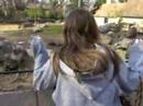 Jen Chaiken bird call