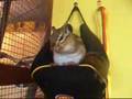 Mein kleiner Sonny Der Chill-Sessel