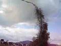 しめ縄動画3