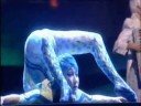 Alegria-CONTORTION