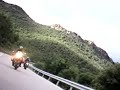 ATC2K - ActionCam auf FZ6