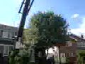 10ft Amazing Dunk by two 13 yr olds