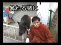 ネットランナー2月号連動企画http://www.new-akiba.com/