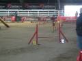 videos de raffy e rocco agility 2 voghera dicembre 08
