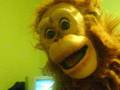 videos de Archies tale