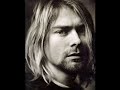 InBloom In Bloom Bloom-Nirvana Nirvana