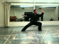 Master Chen Ziqiang June 2011 Push Hands Seminar Day 2 -- Form Demonstration (7/7)