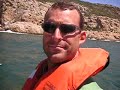 Seals in Plet Bay South Africa