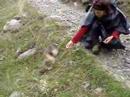 nacera et une marmotte, rencontre du 3 čme type nacera et une marmotte, rencontre du 3 čme type
