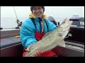 Rapala\\Storm Hot N Tot Lure Rapala\\Storm Hot N Tot Lure