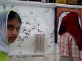 Hindistan