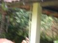 videos de video bomba.avi