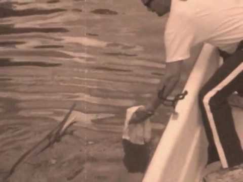 Lake Allatoona Gar Patrol 2.0