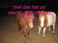 Bibi je bent m\ Bibi je bent m\