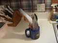 Toots playing in a coffee cup.