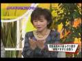 Metis THEワイド 特集 その3 日テレ