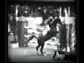 PACO GOYOAGA EN EL CSIO DE NIZA PACO GOYOAGA EN EL CSIO DE NIZA