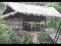 Myanmar snow capped mountain trekking Vol.2 ミャンマーの雪山トレッキング