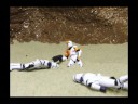 DOCTOR WHO VS THE CLONES