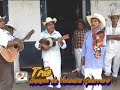 AL GOBER LE GUSTAN LOS HUAPANGOS 1