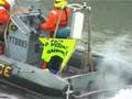Bossenactie in de haven van Rotterdam