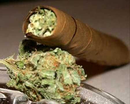 WEED SONG here nice smoke song too