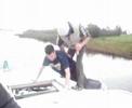 cans and lifejackets