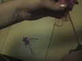 Knitting Step By Step Ep 09e