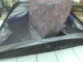 videos de La salida