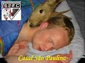 bambi (bambis) ingaypendente BIXARADA spfc