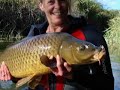 25lb + barbel, live footage