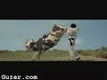 funny cow beating up person but looses