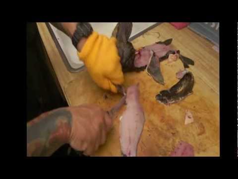 Reel AnglersFishing's Show, FISH TACOS