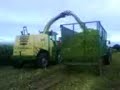 Maize 2007