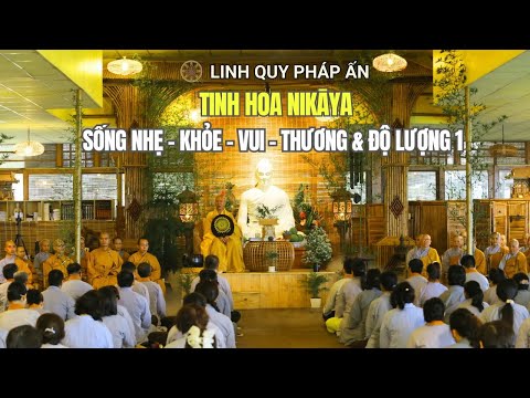 Tinh Hoa NIKAYA - Sống Nhẹ - Khoẻ - Vui - Thương & Độ Lượng 1