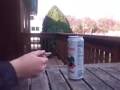 2mm pinfire revolver in action