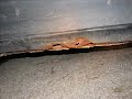 2 min you will never get back stupid clip 94 Geo Metro